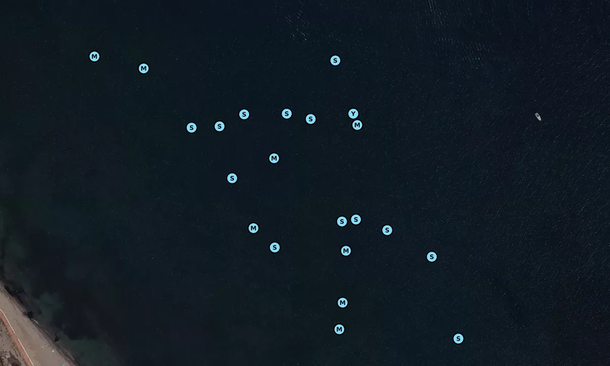 Satelite image of Ensenada del esparto