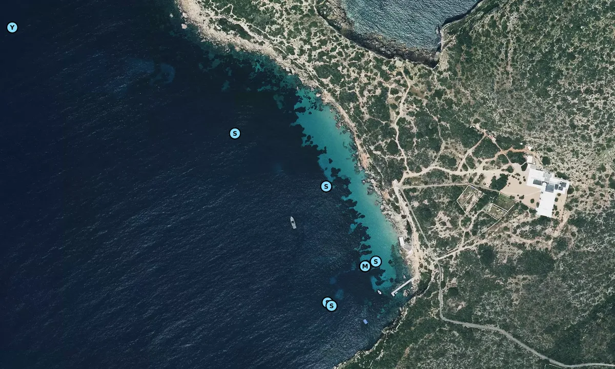 Satelite image of Ensenada Tagomago