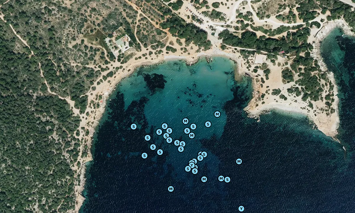 Satelite image of Es Bol Nou