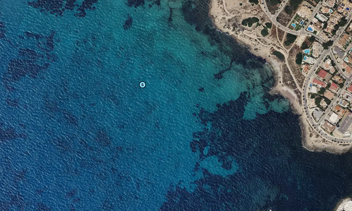 Satelite image of Es Carnatge