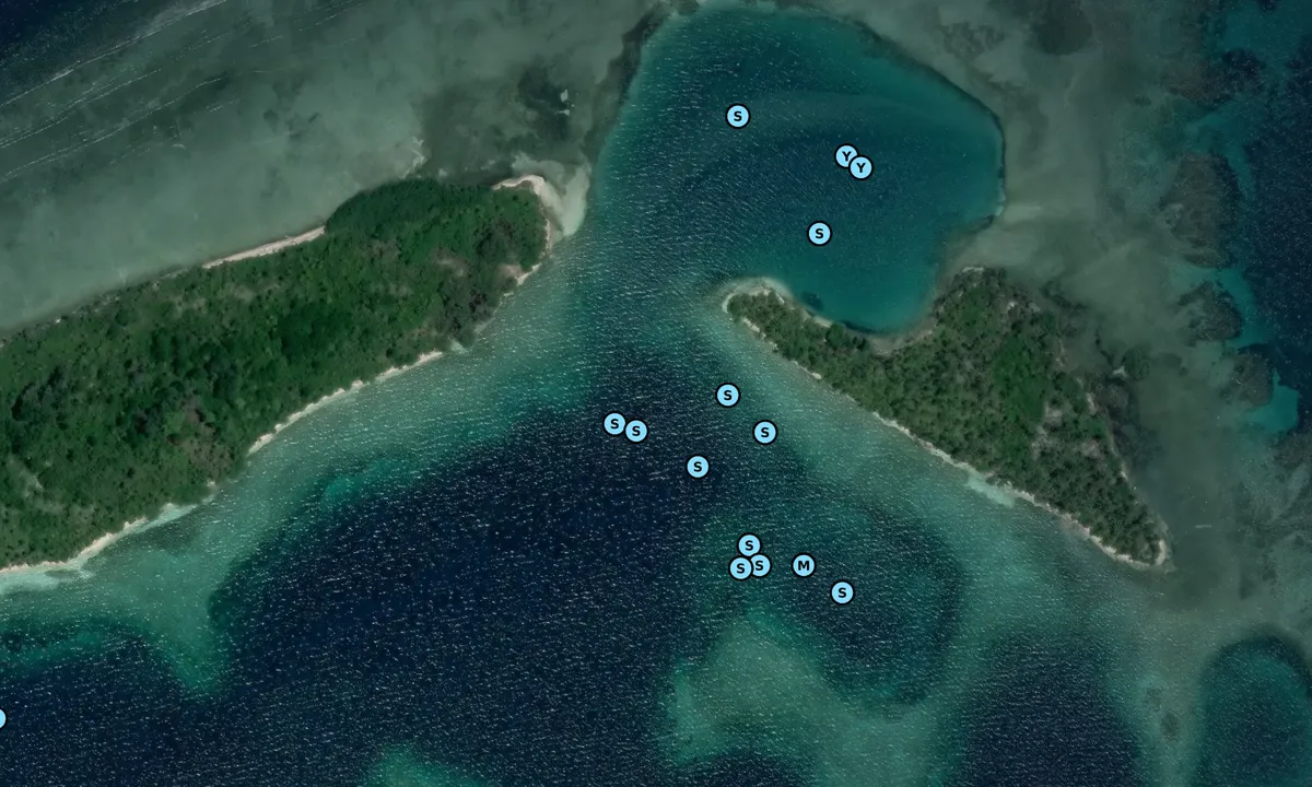 Satelite image of Esnasdup West