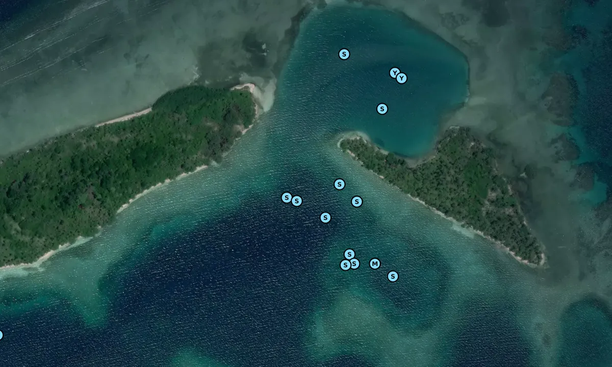 Satelite image of Esnasdup West