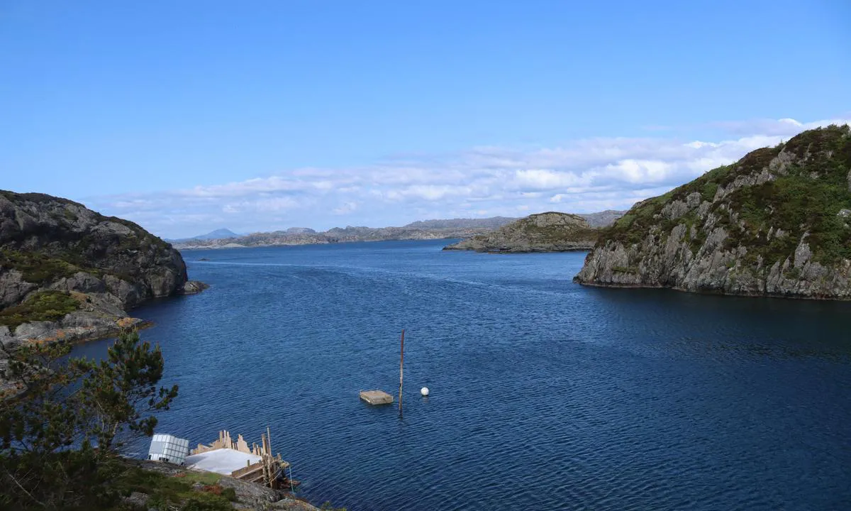 Espevær, Nordrevågen