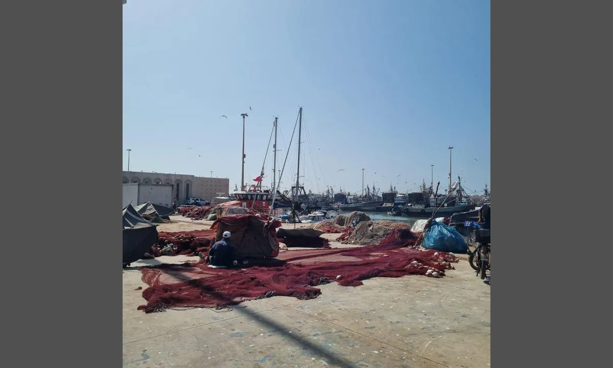 Essaouira Port: {"base": "no", "no": "Det fort\u00f8yes mot SAR b\u00e5ten, midt i fiskevann.", "se": "Det f\u00f6rt\u00f6js mot SAR-b\u00e5ten, mitt i fiskevattnet.", "en": "It is anchored against the SAR boat, in the middle of the fishing area.", "da": "Der fort\u00f8jes ved SAR b\u00e5den, midt i fisketerr\u00e6n.", "fr": "On peut s'amarrer contre le bateau de recherche et de sauvetage (SAR), au milieu du port de p\u00eache.", "de": "Es wird am SAR-Boot vert\u00e4ut, mitten im Fischgew\u00e4sser.", "es": "Se amarra contra el barco de SAR, en medio de la zona de pesca.", "it": "Si ormeggia contro la barca SAR, in mezzo all'acqua di pesca.", "pt": "Atraca-se contra o barco SAR, no meio das \u00e1guas de pesca.", "nl": "Er wordt afgemeerd tegen de SAR-boot, midden in het viswater.", "pl": "Cumuje si\u0119 przy \u0142odzi SAR, w \u015brodku obszaru \u0142owisk.", "uk": "\u0421\u0443\u0434\u043d\u0430 \u0448\u0432\u0430\u0440\u0442\u0443\u044e\u0442\u044c\u0441\u044f \u0431\u0456\u043b\u044f SAR-\u043a\u043e\u0440\u0430\u0431\u043b\u044f, \u043f\u043e\u0441\u0435\u0440\u0435\u0434 \u0440\u0438\u0431\u043e\u043b\u043e\u0432\u043d\u043e\u0433\u043e \u0440\u0430\u0439\u043e\u043d\u0443.", "ro": "Se face amarreaz\u0103 contra b\u0103rcii SAR, \u00een mijlocul apelor de pescuit.", "tr": "SAR teknesine kar\u015f\u0131 ba\u011flama yap\u0131l\u0131r, bal\u0131k suyu ortas\u0131nda.", "el": "\u0394\u03ad\u03bd\u03b5\u03c4\u03b1\u03b9 \u03c0\u03c1\u03bf\u03c2 \u03c4\u03bf \u03c0\u03bb\u03bf\u03af\u03bf SAR, \u03c3\u03c4\u03bf \u03ba\u03ad\u03bd\u03c4\u03c1\u03bf \u03c4\u03b7\u03c2 \u03b1\u03bb\u03b9\u03b5\u03c5\u03c4\u03b9\u03ba\u03ae\u03c2 \u03c0\u03b5\u03c1\u03b9\u03bf\u03c7\u03ae\u03c2.", "cs": "Je vyv\u00e1z\u00e1no u SAR lodi, uprost\u0159ed rybolovn\u00e9 vody.", "hu": "A SAR haj\u00f3hoz kik\u00f6tve, k\u00f6zvetlen\u00fcl a halast\u00f3 k\u00f6zep\u00e9n.", "fi": "Kiinnittyminen tapahtuu SAR-venett\u00e4 vasten, keskell\u00e4 kalastusvett\u00e4.", "bg": "\u0428\u0432\u0430\u0440\u0442\u043e\u0432\u0430\u043d\u0435 \u0441\u0440\u0435\u0449\u0443 SAR \u043b\u043e\u0434\u043a\u0430\u0442\u0430, \u0432 \u0441\u0440\u0435\u0434\u0430\u0442\u0430 \u043d\u0430 \u0440\u0438\u0431\u043e\u043b\u043e\u0432\u043d\u0430\u0442\u0430 \u0437\u043e\u043d\u0430.", "sr": "Privezuje se uz SAR \u010damac, usred ribolovnog podru\u010dja.", "et": "See kinnitatakse SAR paadi vastu, keset kalap\u00fc\u00fcgivett.", "lv": "Ir piesiets SAR laivai, tie\u0161i zvejas viet\u0101.", "lt": "Prisi\u0161vartuoja prie SAR valties, viduryje \u017evejybos vandens."}