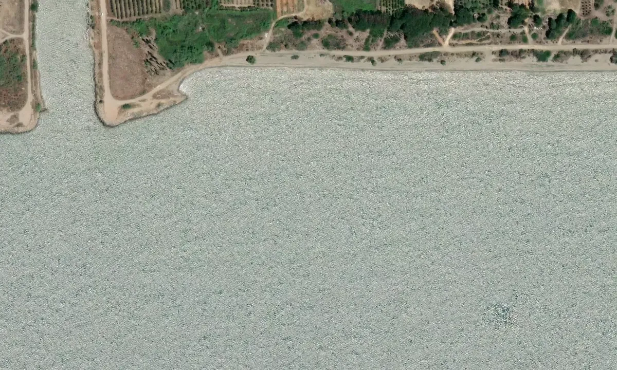 Satelite image of Eurotas Plain