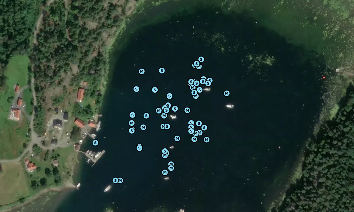 Satelite image of Evjesund