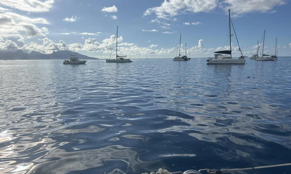 Faaa: {"base": "no", "no": "Sett mot Moorea hvor jeg vil ligge forankre om noen dager. Herlig 27 grader i vannet og ca 33 i luften", "se": "Sett mot Moorea d\u00e4r jag kommer att ligga f\u00f6rankrad om n\u00e5gra dagar. H\u00e4rliga 27 grader i vattnet och cirka 33 i luften", "en": "Set course for Moorea where I will anchor in a few days. Lovely 27 degrees in the water and about 33 in the air.", "da": "S\u00e6t kurs mod Moorea hvor jeg vil ligge for anker om nogle dage. L\u00e6kker 27 grader i vandet og ca. 33 i luften", "fr": "Tourn\u00e9 vers Moorea o\u00f9 je vais m'ancrer dans quelques jours. Magnifique 27 degr\u00e9s dans l'eau et environ 33 dans l'air", "de": "Richtung Moorea setzen, wo ich in ein paar Tagen vor Anker liegen werde. Herrliche 27 Grad im Wasser und ca. 33 Grad in der Luft.", "es": "Puesto hacia Moorea donde estar\u00e9 anclado en algunos d\u00edas. Maravilloso 27 grados en el agua y alrededor de 33 en el aire", "it": "Guarda verso Moorea dove mi ancorer\u00f2 tra qualche giorno. Magnifico, 27 gradi nell'acqua e circa 33 nell'aria", "pt": "Voltado para Moorea, onde estarei ancorado em alguns dias. Deliciosos 27 graus na \u00e1gua e cerca de 33 no ar", "nl": "Zet koers naar Moorea waar ik over een paar dagen zal ankeren. Heerlijk 27 graden in het water en ongeveer 33 in de lucht.", "pl": "Obierz kurs na Moorea, gdzie zamierzam zakotwiczy\u0107 za kilka dni. Wspania\u0142e 27 stopni w wodzie i oko\u0142o 33 w powietrzu.", "uk": "\u041d\u0430\u043f\u0440\u0430\u0432\u043b\u044f\u044e\u0441\u044f \u0434\u043e \u041c\u0443\u0440\u0435\u0430, \u0434\u0435 \u044f \u0431\u0443\u0434\u0443 \u0441\u0442\u043e\u044f\u0442\u0438 \u043d\u0430 \u044f\u043a\u043e\u0440\u0456 \u0447\u0435\u0440\u0435\u0437 \u043a\u0456\u043b\u044c\u043a\u0430 \u0434\u043d\u0456\u0432. \u041f\u0440\u0435\u043a\u0440\u0430\u0441\u043d\u0456 27 \u0433\u0440\u0430\u0434\u0443\u0441\u0456\u0432 \u0443 \u0432\u043e\u0434\u0456 \u0442\u0430 \u0431\u043b\u0438\u0437\u044c\u043a\u043e 33 \u0433\u0440\u0430\u0434\u0443\u0441\u0456\u0432 \u0443 \u043f\u043e\u0432\u0456\u0442\u0440\u0456.", "ro": "Orientat spre Moorea, unde voi sta ancorat \u00een c\u00e2teva zile. Minunate 27 de grade \u00een ap\u0103 \u0219i aproximativ 33 \u00een aer", "tr": "<p>Moorea'ya do\u011fru yola \u00e7\u0131karken, birka\u00e7 g\u00fcn i\u00e7inde demir ataca\u011f\u0131m yer. Suda harika 27 derece ve havada yakla\u015f\u0131k 33 derece.</p>", "el": "\u03a0\u03bb\u03ce\u03c1\u03b7 \u03c0\u03c1\u03bf\u03c2 Moorea, \u03cc\u03c0\u03bf\u03c5 \u03b8\u03b1 \u03b1\u03b3\u03ba\u03c5\u03c1\u03bf\u03b2\u03bf\u03bb\u03ae\u03c3\u03c9 \u03c3\u03b5 \u03bc\u03b5\u03c1\u03b9\u03ba\u03ad\u03c2 \u03b7\u03bc\u03ad\u03c1\u03b5\u03c2. \u03a5\u03c0\u03ad\u03c1\u03bf\u03c7\u03b7 \u03b8\u03b5\u03c1\u03bc\u03bf\u03ba\u03c1\u03b1\u03c3\u03af\u03b1 27 \u03b2\u03b1\u03b8\u03bc\u03ce\u03bd \u03c3\u03c4\u03bf \u03bd\u03b5\u03c1\u03cc \u03ba\u03b1\u03b9 \u03c0\u03b5\u03c1\u03af\u03c0\u03bf\u03c5 33 \u03c3\u03c4\u03bf\u03bd \u03b1\u03ad\u03c1\u03b1", "cs": "Nasm\u011brov\u00e1no na Moorea, kde budu kotvit za n\u011bkolik dn\u00ed. P\u0159\u00edjemn\u00fdch 27 stup\u0148\u016f ve vod\u011b a p\u0159ibli\u017en\u011b 33 stup\u0148\u016f ve vzduchu.", "hu": "Elindultam Moorea fel\u00e9, ahol n\u00e9h\u00e1ny nap m\u00falva horgonyzok. Csod\u00e1latos 27 fokos a v\u00edz \u00e9s k\u00f6r\u00fclbel\u00fcl 33 fokos a leveg\u0151", "fi": "Matkalla kohti Mooreaa, miss\u00e4 aion ankkuroida muutaman p\u00e4iv\u00e4n kuluttua. Ihanat 27 astetta vedess\u00e4 ja noin 33 ilmassa", "bg": "\u041f\u043e\u0433\u043b\u0435\u0434 \u043a\u044a\u043c \u041c\u043e\u043e\u0440\u0435\u0430, \u043a\u044a\u0434\u0435\u0442\u043e \u0449\u0435 \u043e\u0441\u0442\u0430\u043d\u0430 \u043d\u0430 \u043a\u043e\u0442\u0432\u0430 \u0441\u043b\u0435\u0434 \u043d\u044f\u043a\u043e\u043b\u043a\u043e \u0434\u043d\u0438. \u041f\u0440\u0435\u043a\u0440\u0430\u0441\u043d\u0438 27 \u0433\u0440\u0430\u0434\u0443\u0441\u0430 \u0432\u044a\u0432 \u0432\u043e\u0434\u0430\u0442\u0430 \u0438 \u043e\u043a\u043e\u043b\u043e 33 \u0433\u0440\u0430\u0434\u0443\u0441\u0430 \u0432\u044a\u0432 \u0432\u044a\u0437\u0434\u0443\u0445\u0430", "sr": "Usmeren ka Moorea gde \u0107u se usidriti za nekoliko dana. Predivnih 27 stepeni u vodi i otprilike 33 u vazduhu", "et": "Seadsin kursi Moorea poole, kus kavatsen m\u00f5ne p\u00e4eva p\u00e4rast ankrusse j\u00e4\u00e4da. M\u00f5nus 27 kraadi vees ja umbes 33 kraadi \u00f5hus.", "lv": "Kuru pret\u012b Moorea, kur es grib\u0113\u0161u nost\u0101ties uz enkura p\u0113c da\u017e\u0101m dien\u0101m. Br\u012bni\u0161\u0137\u012bgi 27 gr\u0101di \u016bden\u012b un apm\u0113ram 33 gais\u0101.", "lt": "Nustatyta \u012f Moorea, kur kelet\u0105 dien\u0173 pastov\u0117siu inkaru. Nuostabi 27 laipsni\u0173 temperat\u016bra vandenyje ir apie 33 laipsni\u0173 ore."}