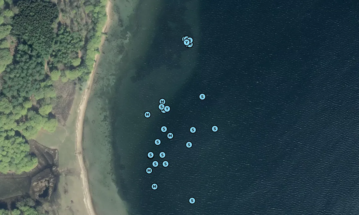 Satelite image of Fænø S bouy