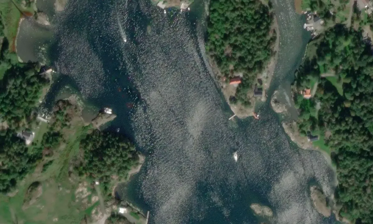 Satelite image of Færvikilen