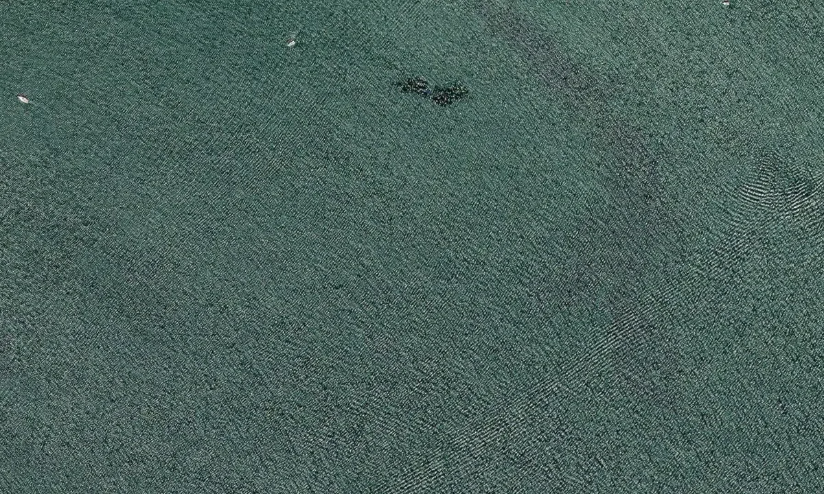 Flyfoto av Falkenberg bay