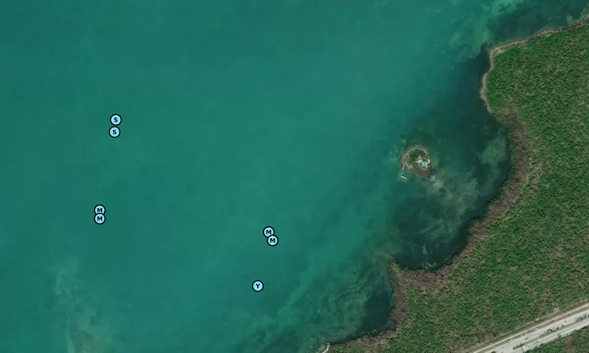 Satelite image of Fat Deer Key  1