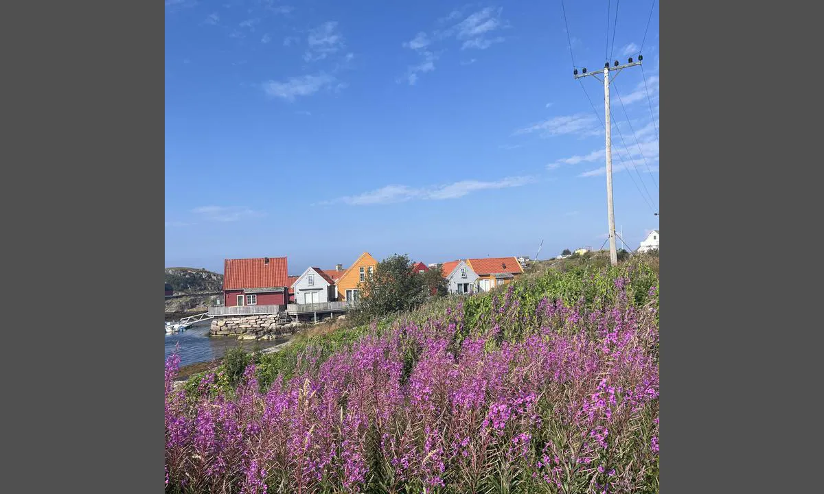 Fedje Havn: {"base": "no", "no": "Flott \u00e5 g\u00e5 tur.", "se": "H\u00e4rligt att promenera.", "en": "Great for a walk.", "da": "Flot at g\u00e5 tur.", "fr": "Super pour se promener.", "de": "Sch\u00f6n zum Spazierengehen.", "es": "Es estupendo para caminar.", "it": "Fantastico per fare una passeggiata.", "pt": "\u00d3timo para caminhar.", "nl": "Geweldig om te wandelen.", "pl": "\u015awietne miejsce na spacer.", "uk": "\u0427\u0443\u0434\u043e\u0432\u043e \u0434\u043b\u044f \u043f\u0440\u043e\u0433\u0443\u043b\u044f\u043d\u043a\u0438.", "ro": "Minunat pentru plimbare.", "tr": "Y\u00fcr\u00fcy\u00fc\u015f yapmak harika.", "el": "\u03a5\u03c0\u03ad\u03c1\u03bf\u03c7\u03bf \u03b3\u03b9\u03b1 \u03c0\u03b5\u03c1\u03c0\u03ac\u03c4\u03b7\u03bc\u03b1.", "cs": "Skv\u011bl\u00e9 na proch\u00e1zku.", "hu": "Nagyszer\u0171 a s\u00e9ta.", "fi": "Hieno paikka k\u00e4velylle.", "bg": "\u0427\u0443\u0434\u0435\u0441\u043d\u043e \u0437\u0430 \u0440\u0430\u0437\u0445\u043e\u0434\u043a\u0430.", "sr": "\u041e\u0434\u043b\u0438\u0447\u043d\u043e \u0437\u0430 \u0448\u0435\u0442\u045a\u0443.", "et": "Suurep\u00e4rane jalutusk\u00e4ik.", "lv": "Lieliski doties pastaig\u0101.", "lt": "Puiku pasivaik\u0161\u010dioti."}