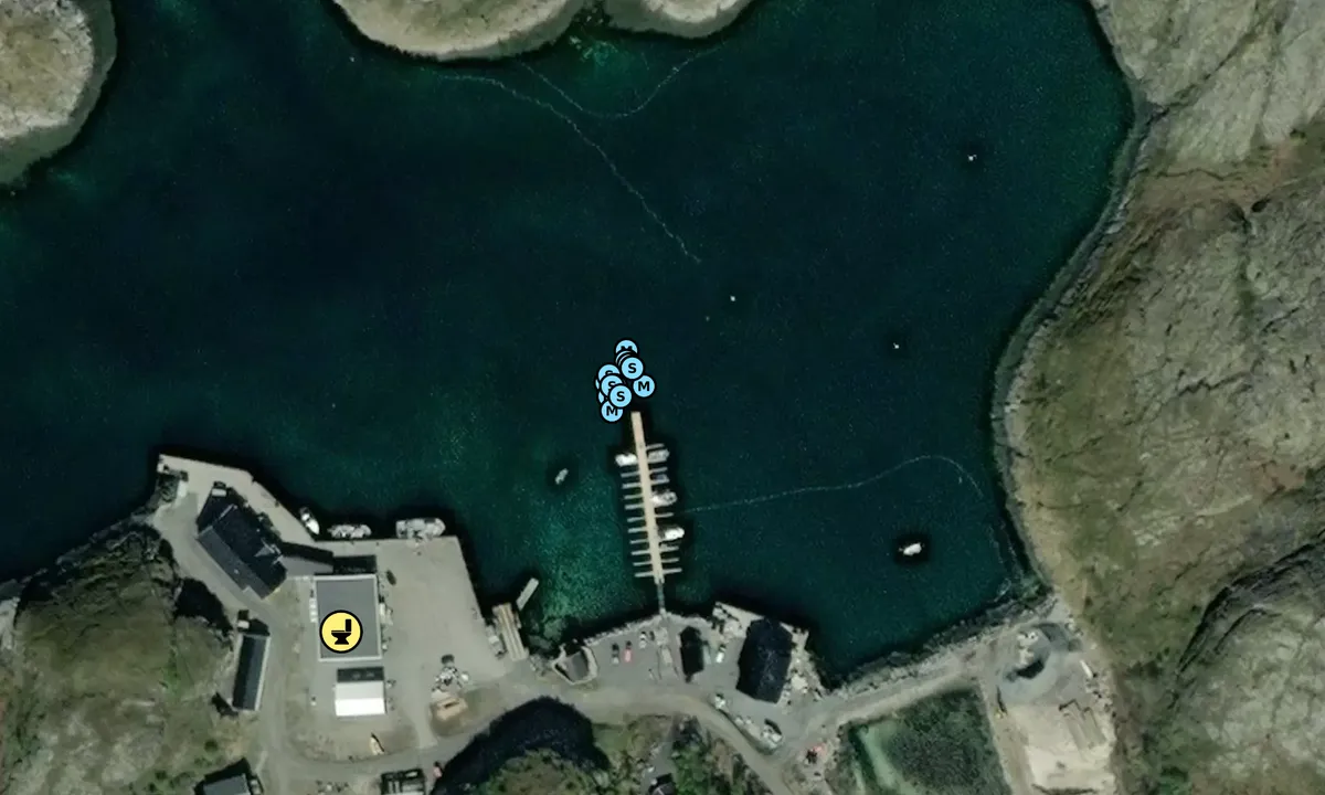 Satelite image of Fennesvågen