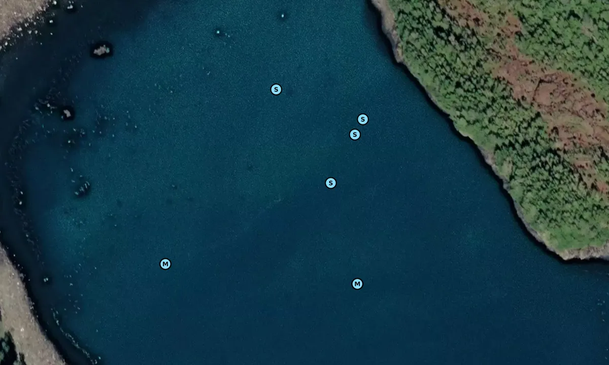 Satelite image of Fern Harbor