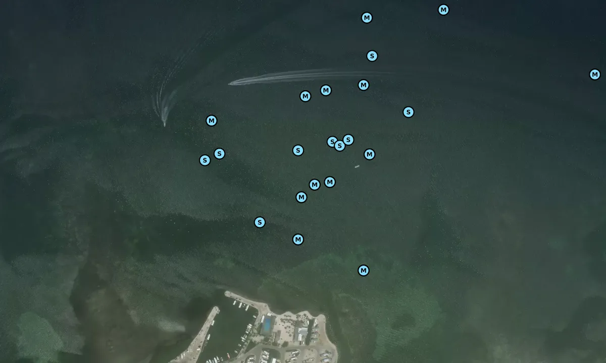 Satelite image of Fiesta Key