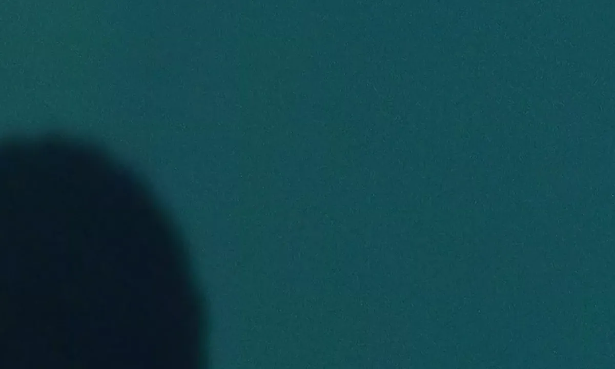 Satelite image of Finnfjorden