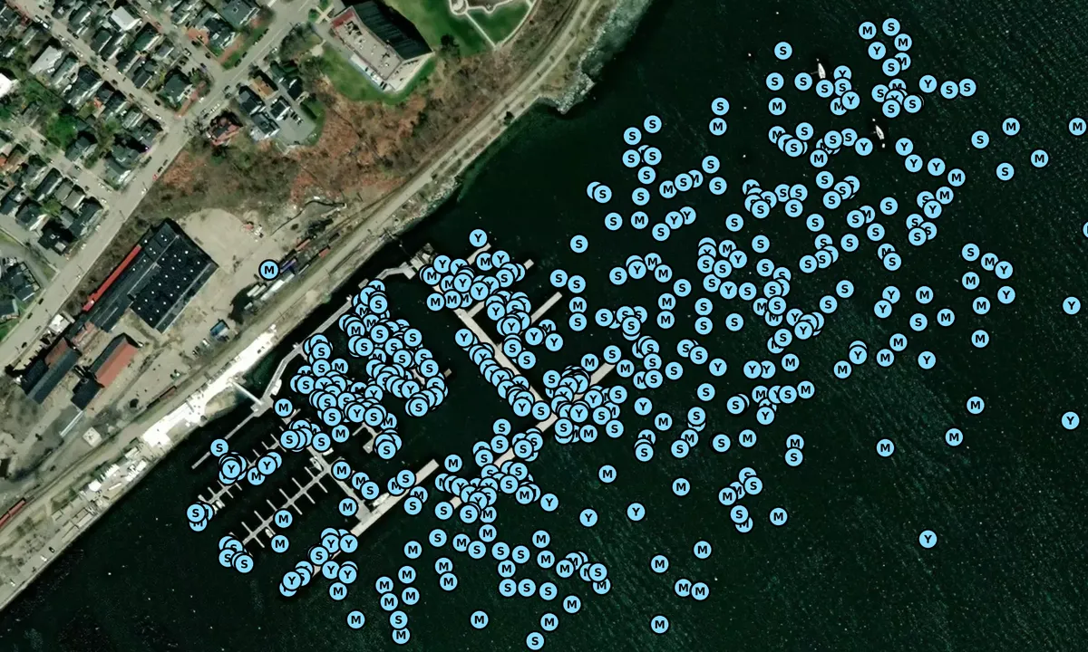 Satelite image of Fish Point