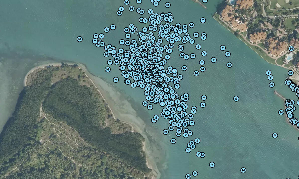 Satelite image of Fisher Island