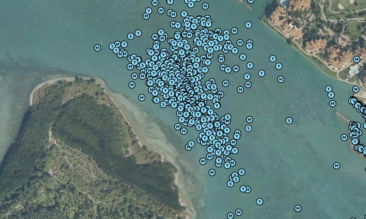 Satelite image of Fisher Island