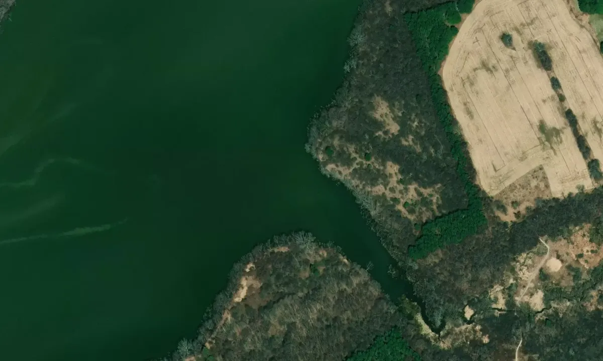 Satelite image of Fishermans Cove