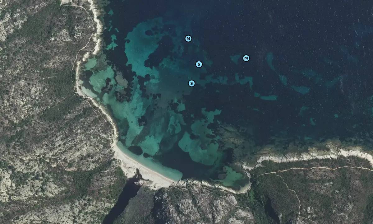Satelite image of Fiume Santu