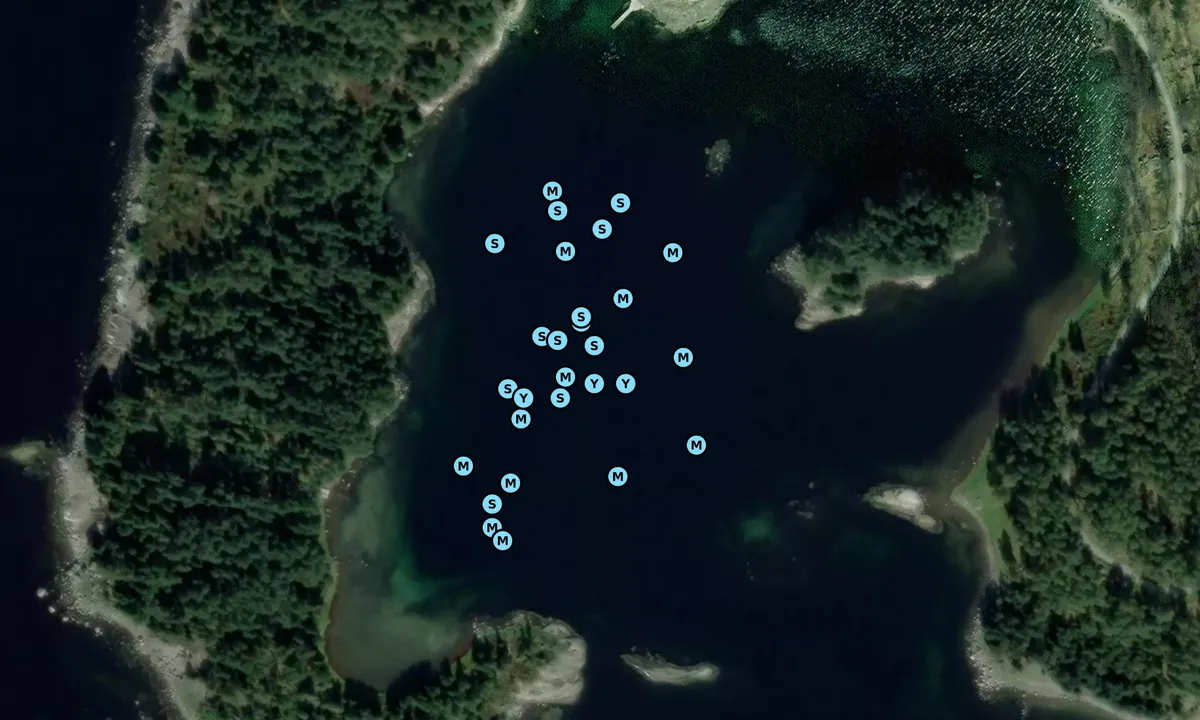 Satelite image of Fjellsholmen