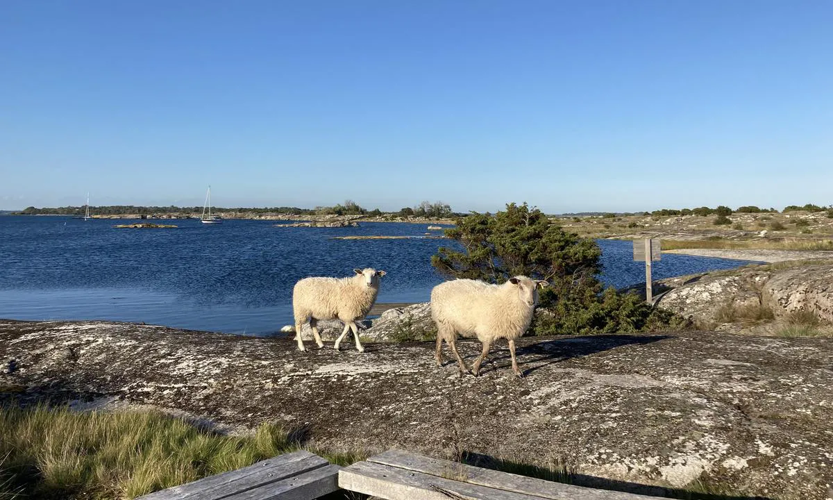 Flakskär - SXK Blekinge bouy
