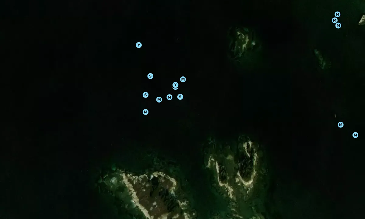 Satelite image of Flat Island