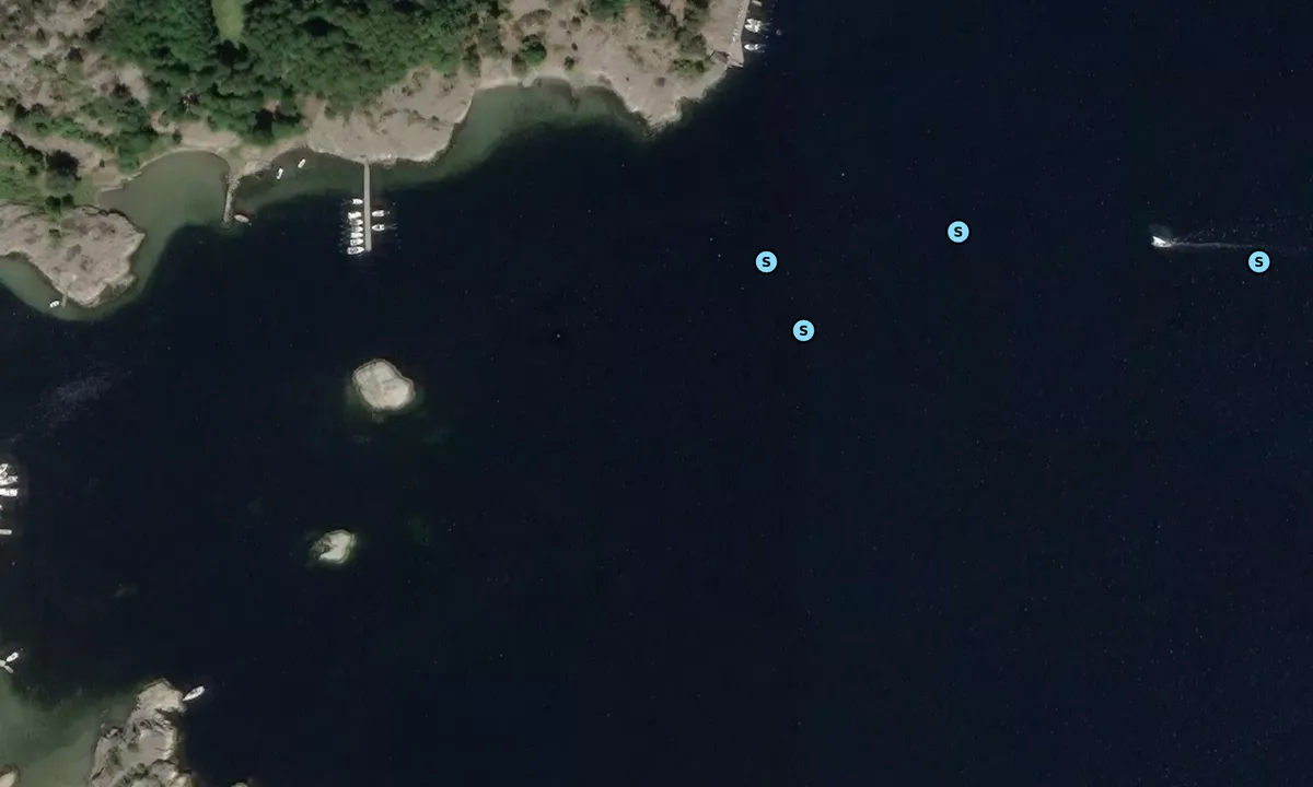 Satelite image of Flatö huvud