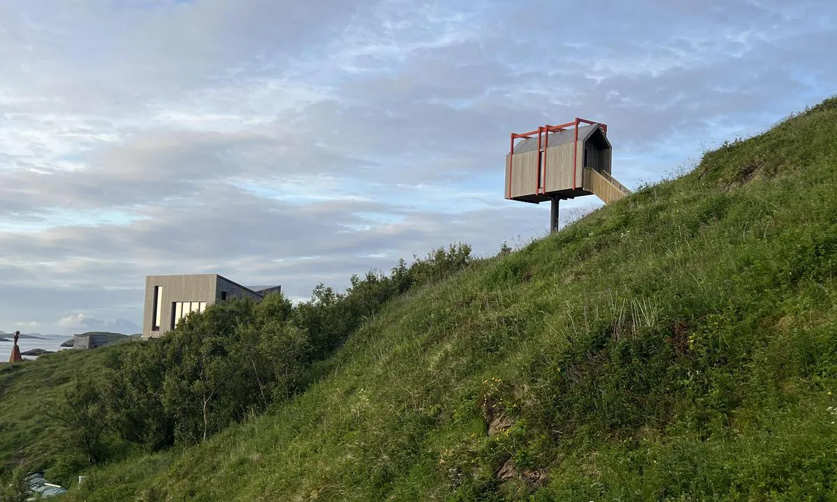 Fleinvær