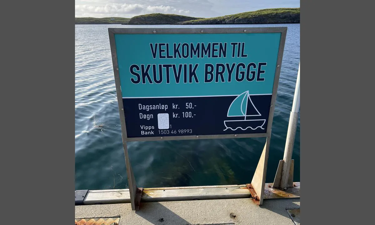 Fleinvær