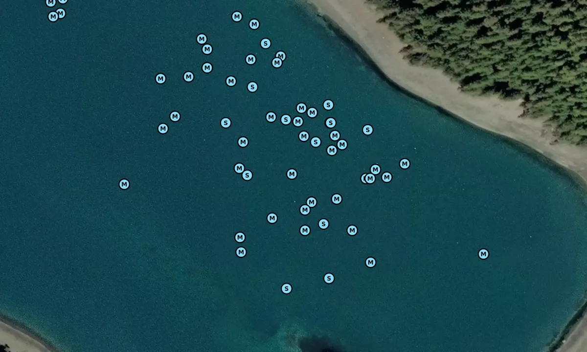 Satelite image of Flynn Cove
