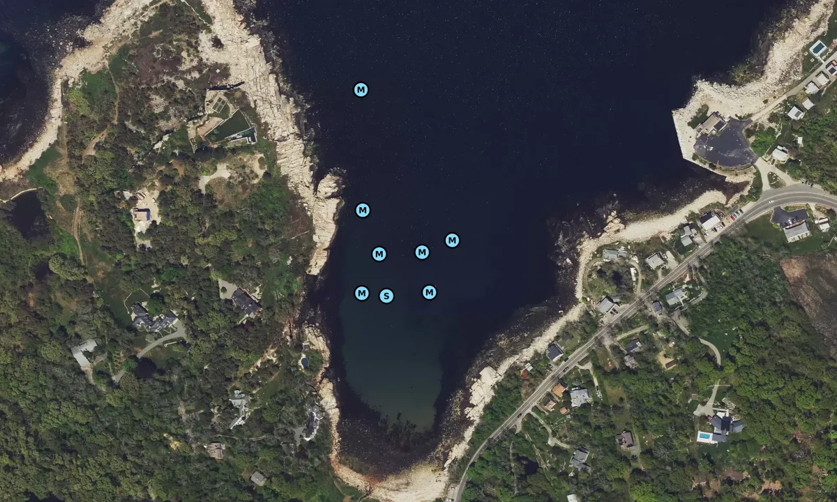 Satelite image of Folly Cove