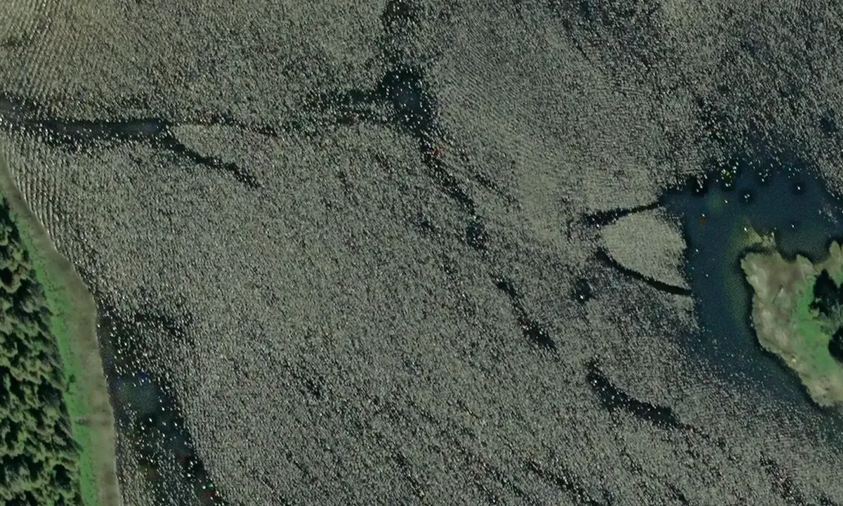 Satelite image of Fool's Inlet