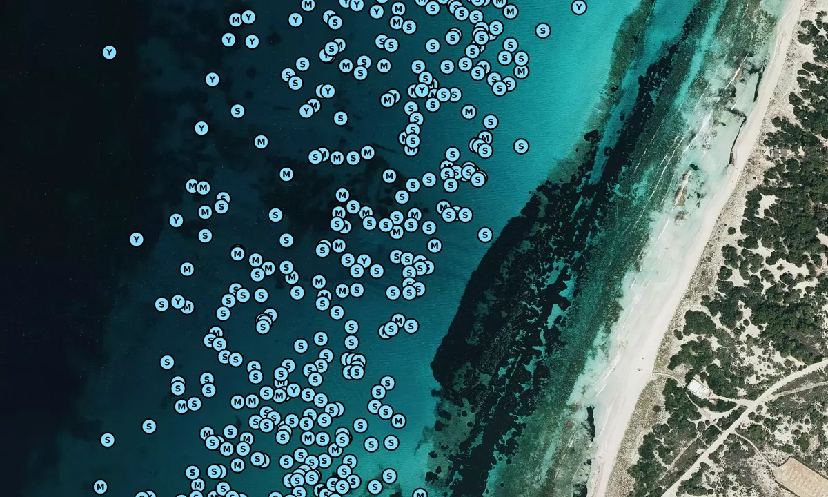 Satelite image of Formentera