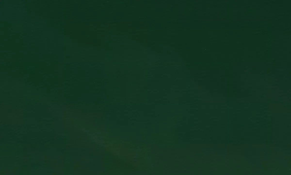 Satelite image of Fort Boykin