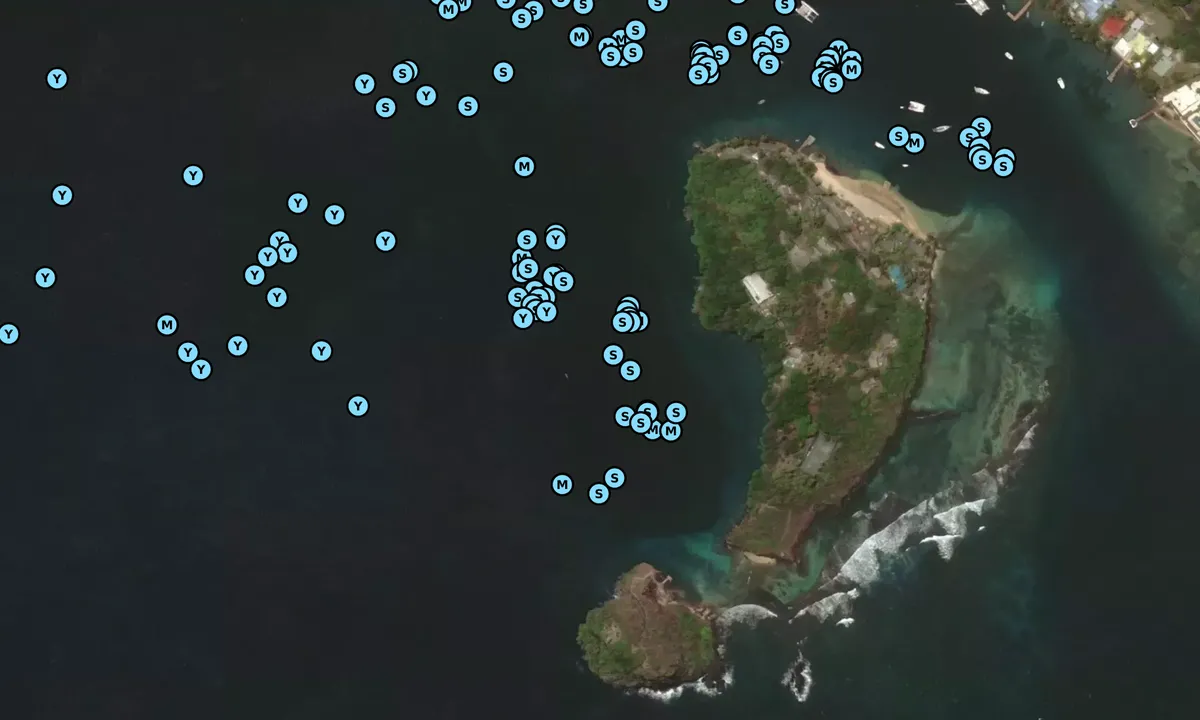 Satelite image of Fort Duvernette