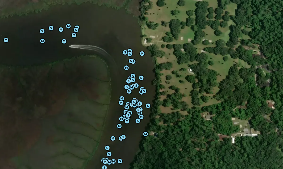 Satelite image of Fort Frederica