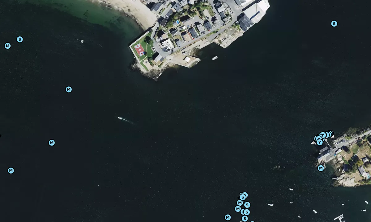 Satelite image of Fort Point (moorings)