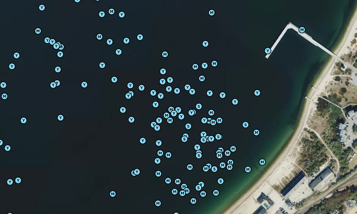Satelite image of Fort Pond Bay - Montauk