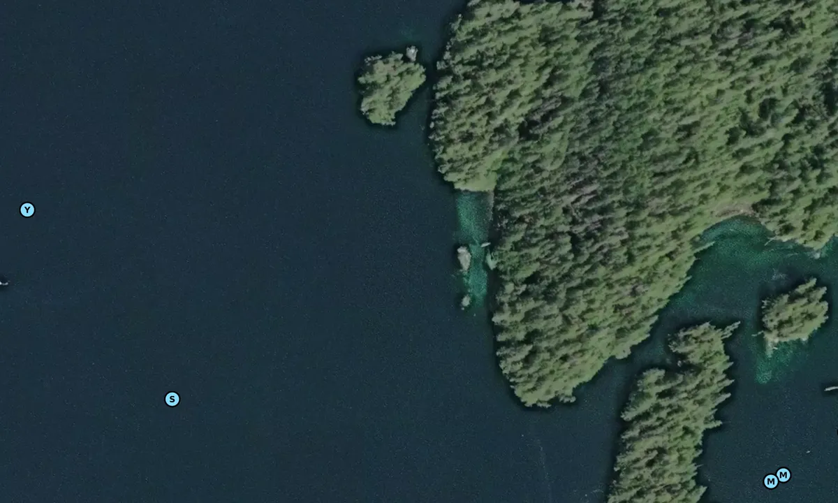 Satelite image of Fougner Bay