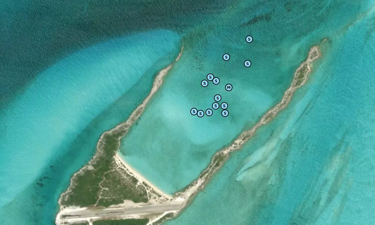 Satelite image of Fowl Cay 1