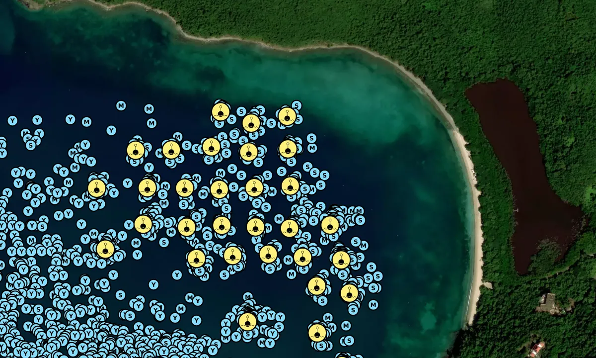 Satelite image of Francis Bay - Cruz Bay