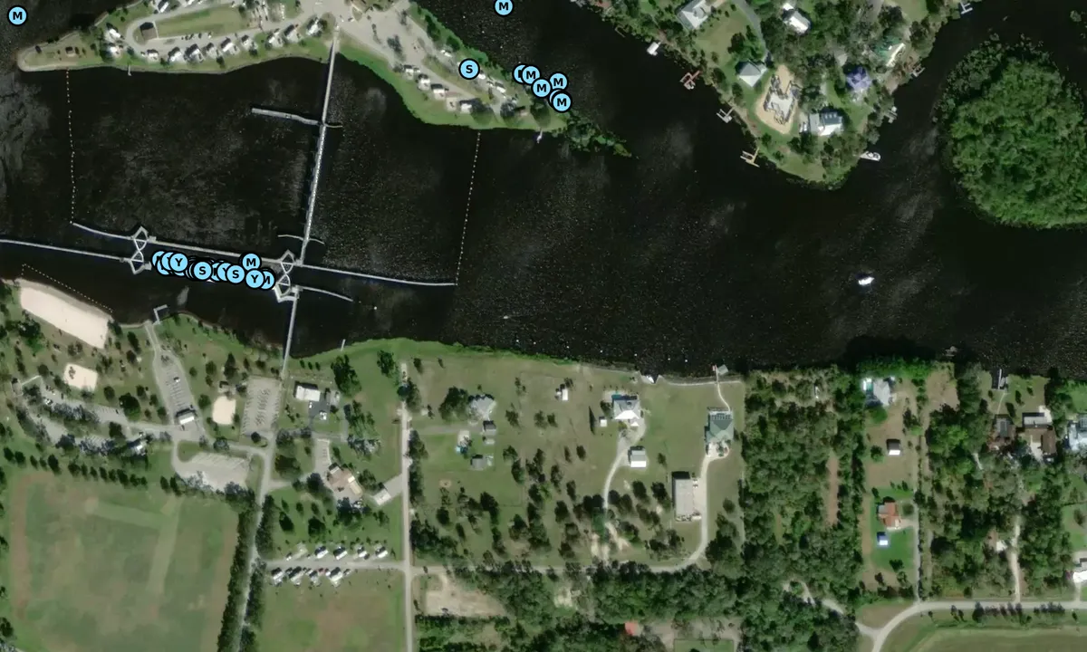 Satelite image of Franklin Lock Dolphins