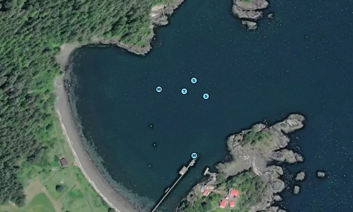 Satelite image of Friendly Cove