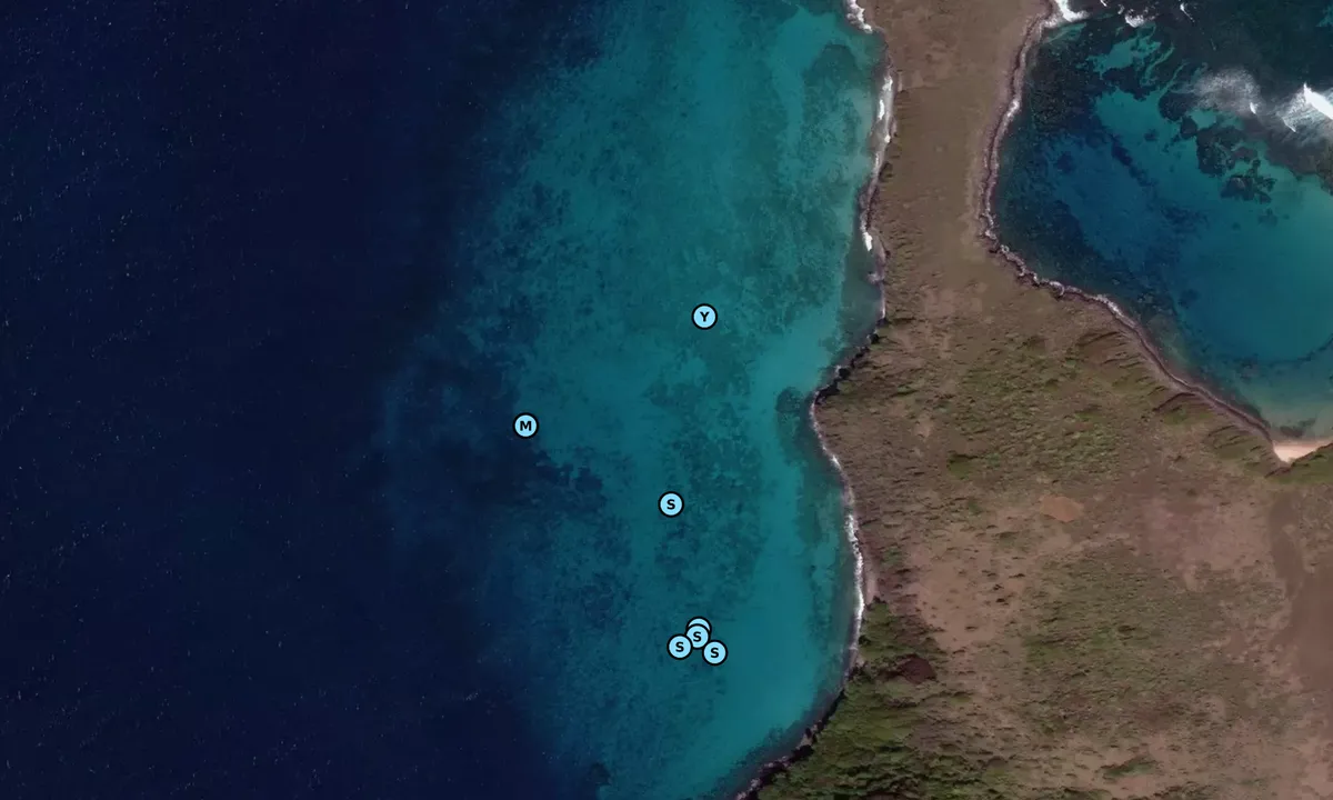 Satelite image of Frigate Island 2