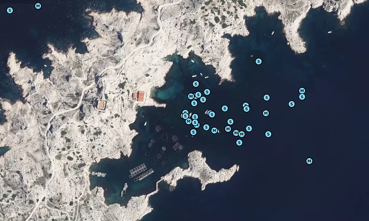 Satelite image of Frioul - Anchorage