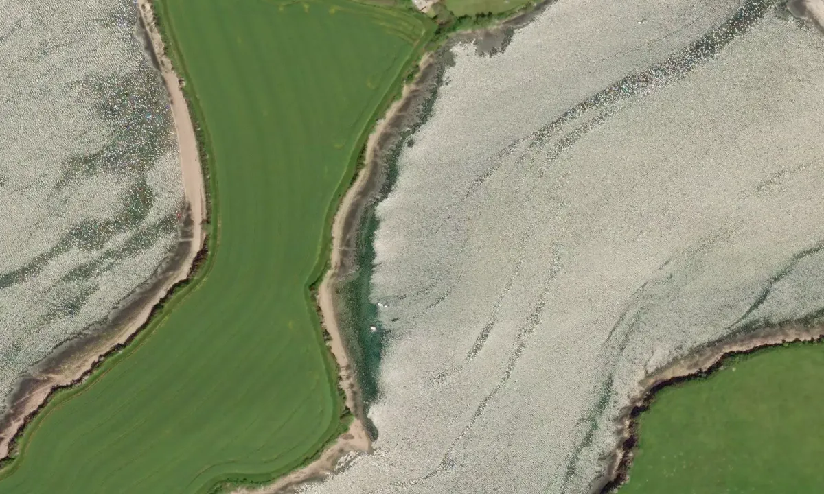 Flyfoto av Frogmore Creek