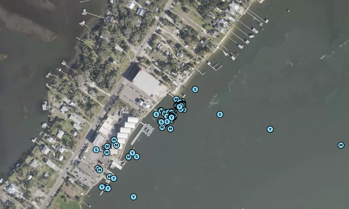 Satelite image of Ft George Island Marina