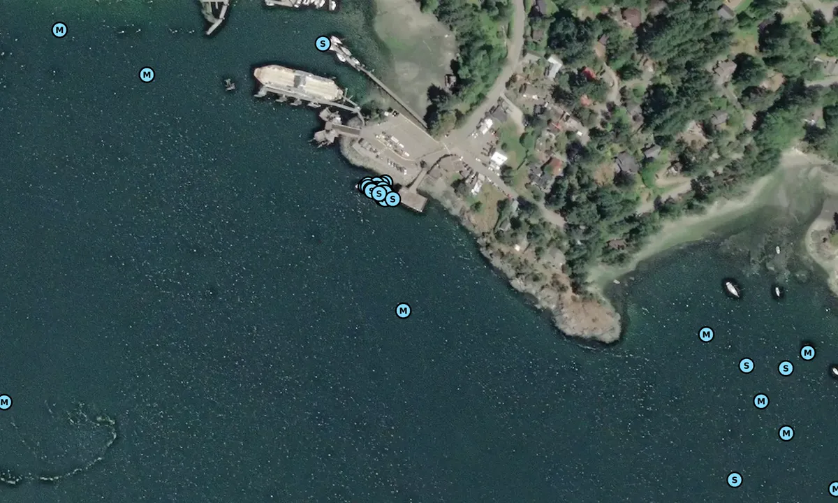 Satelite image of Fulford Public Dock